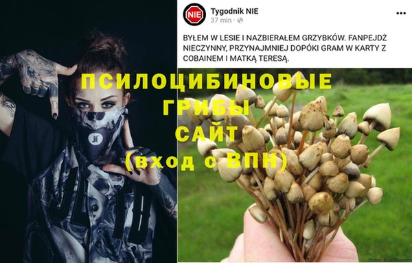гашиш Волосово