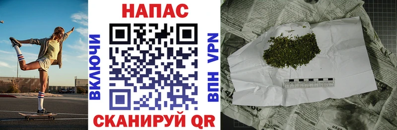 где продают наркотики  Муром  Конопля индика 